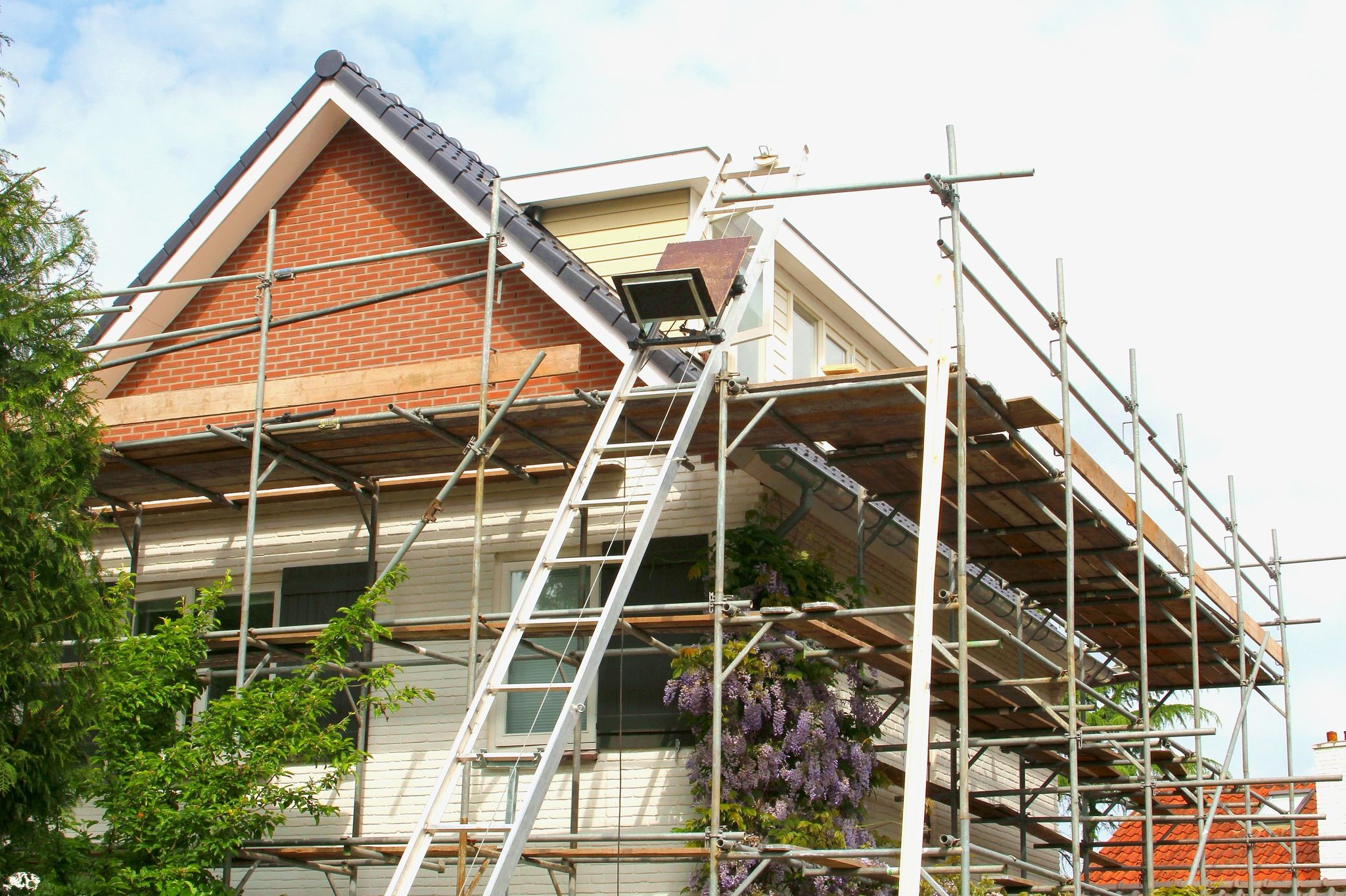 Blog Image
